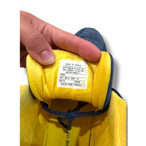 Jordan 12 PSNY Michigan PE SAMPLE | Size 14M